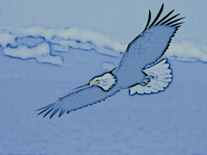 Falke am Himmel